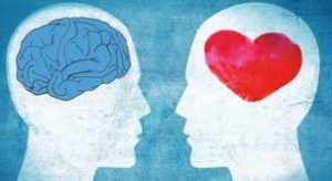 Brain vs Heart image